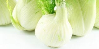 fenouil-actinutrition-800