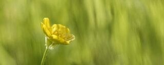 Nature2-actinutrition