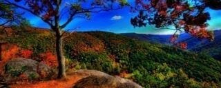 Nature3-actinutrition