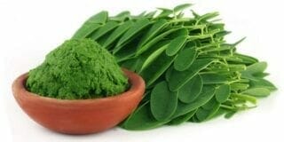 brulegraisse-actinutrition-800