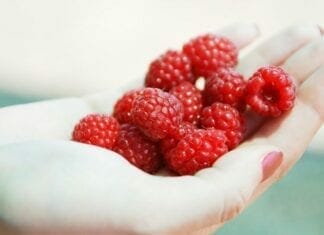 liste des micronutriments