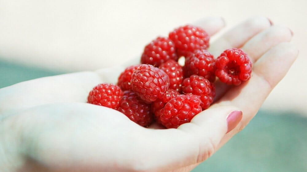 liste des micronutriments