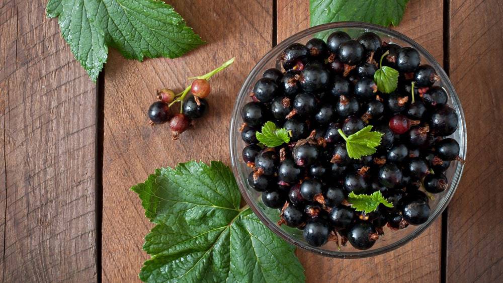 bienfaits du cassis