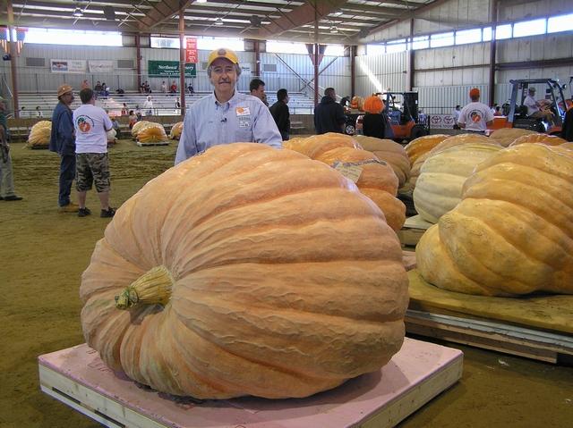 bienfaits de la citrouille