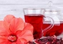 bienfaits de l'hibiscus