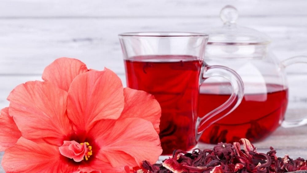 bienfaits de l'hibiscus