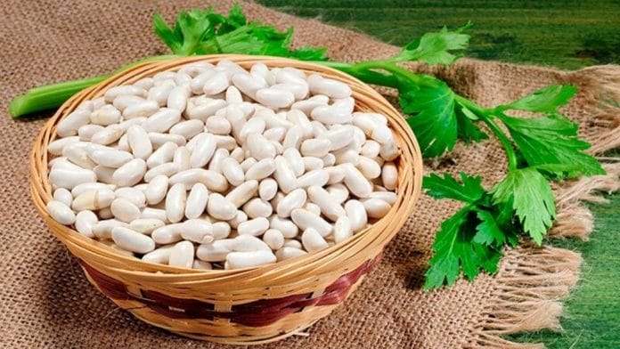 haricot blanc : liste des légumes secs