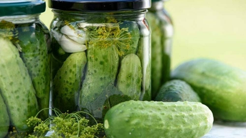 probiotiques naturels : Cornichon