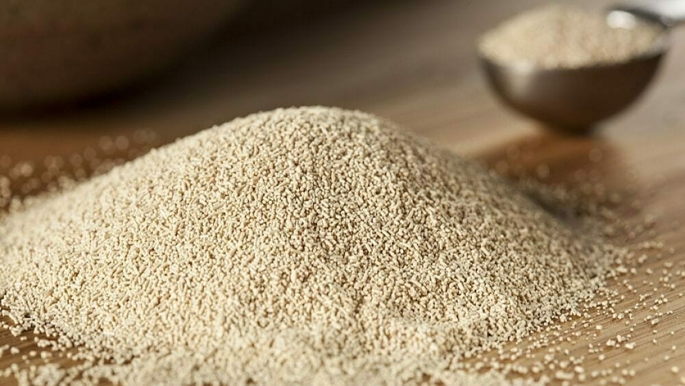 probiotiques naturels : levure de bière