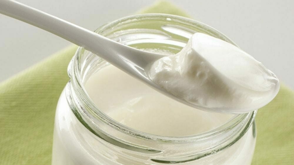 Yaourt : meilleurs probiotiques naturels pourrenforcer le système immunitaire