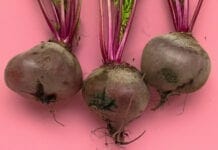 Les bienfaits de la betterave pour le foie Légumes d'automne, bienfaits de la betterave