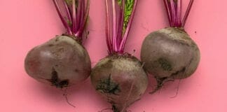 Légumes d'automne, bienfaits de la betterave