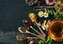 Les 10 meilleures plantes contre la rétention d’eau les meilleures plantes contre la rétention d'eau.