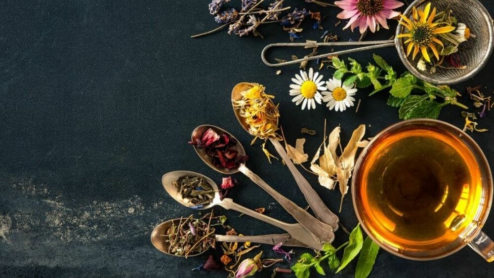 draineurs minceurs 1000 les meilleures plantes contre la rétention d'eau.