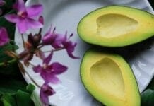 bienfaits de l'avocat