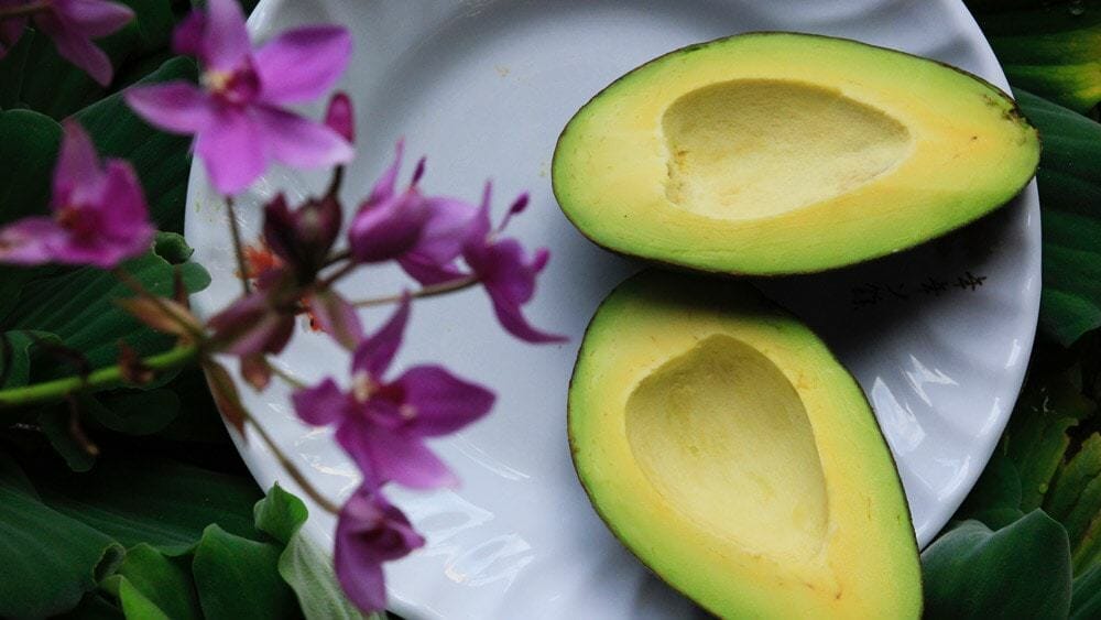 L'avocat, un fruit à désormais éviter? - FemininBio