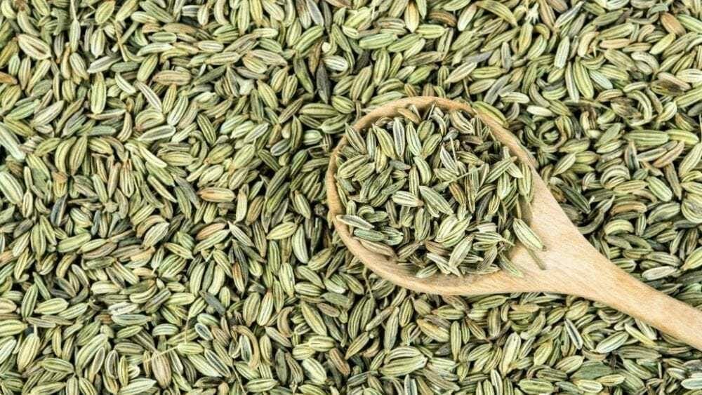 Graines de fenouil