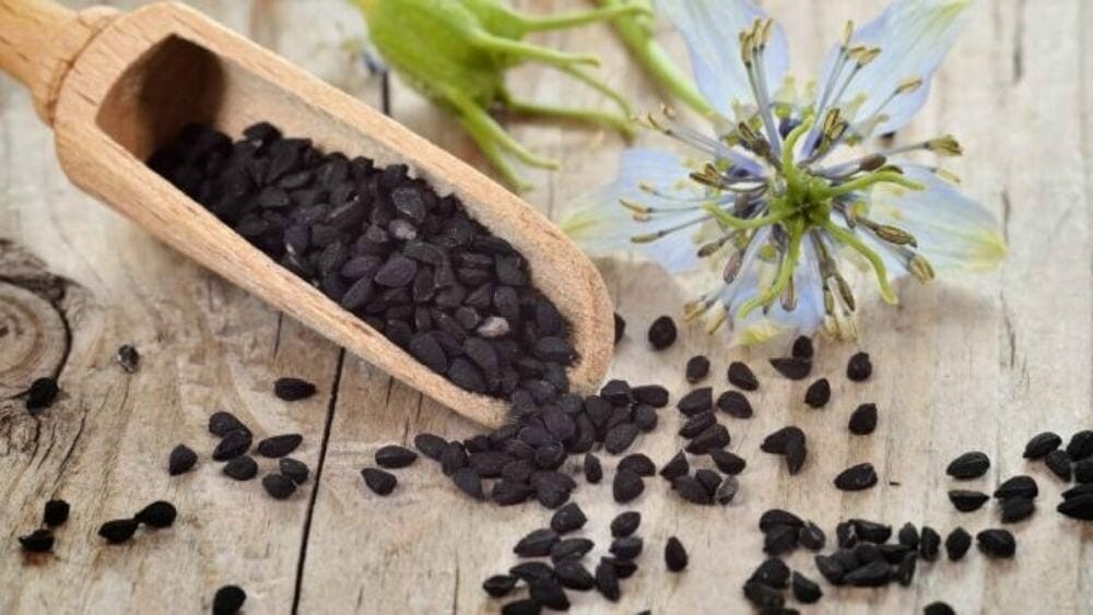 bienfaits des graines