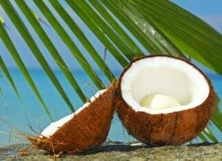 bienfaits de la noix de coco