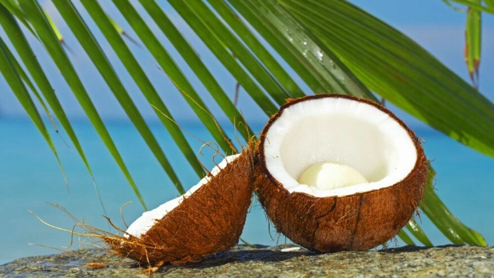 bienfaits de la noix de coco