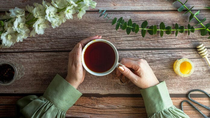 meilleures plantes pour mincir