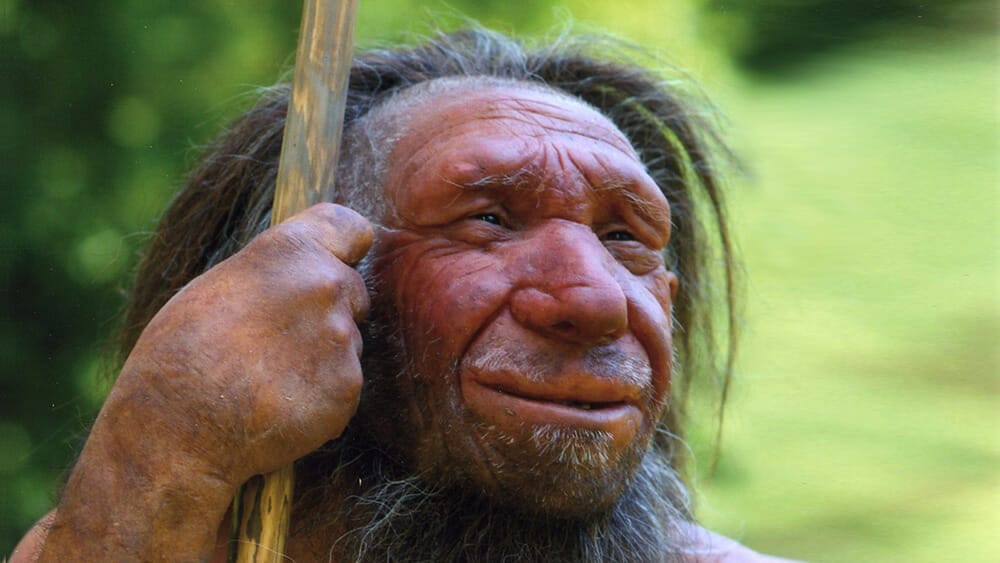 régime paléo pour maigrir