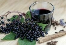 bienfaits du sureau noir