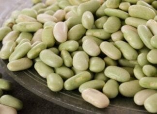 Les bienfaits du flageolet vert sur la santé.