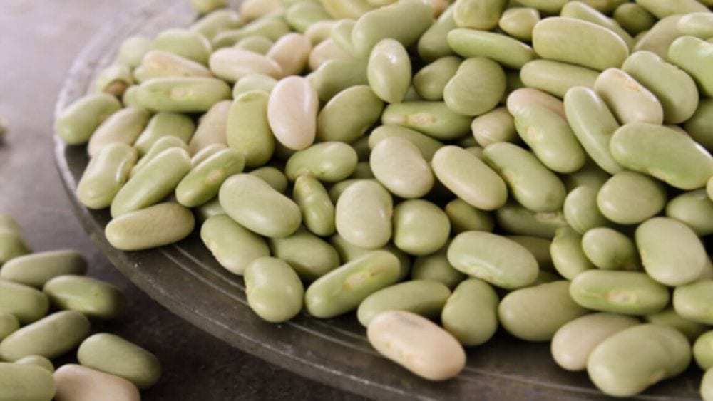 Les bienfaits du flageolet vert sur la santé.