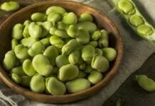 Les bienfaits de la fève pour l’immunité fève bienfaits