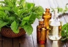 Les bienfaits de la menthe poivrée contre les douleurs bienfaits de la menthe poivrée