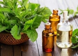 bienfaits de la menthe poivrée