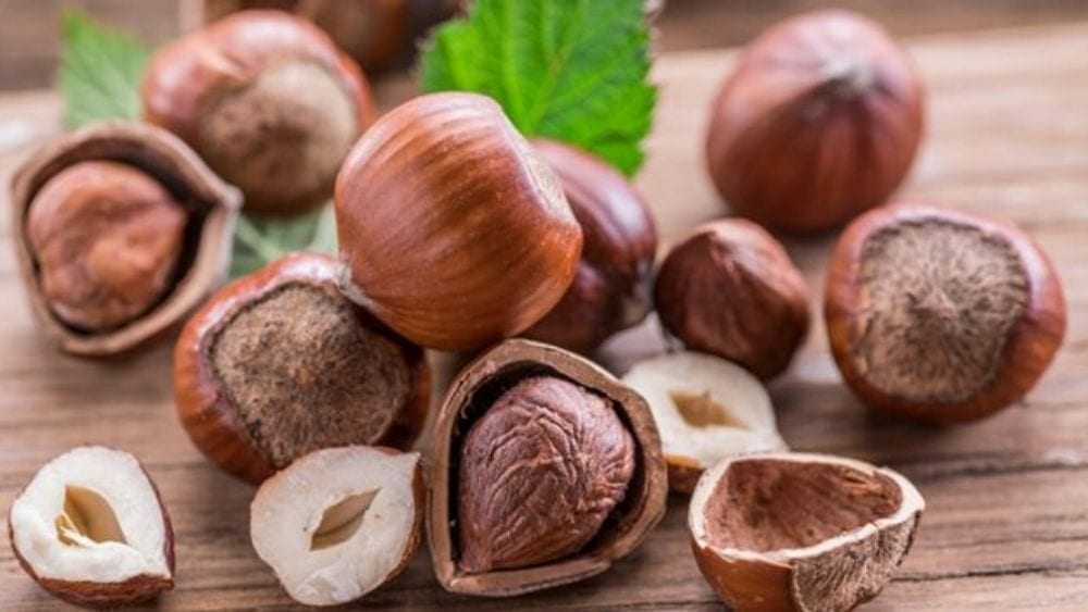 La noisette, un fruit oléagineux bon pour la santé.