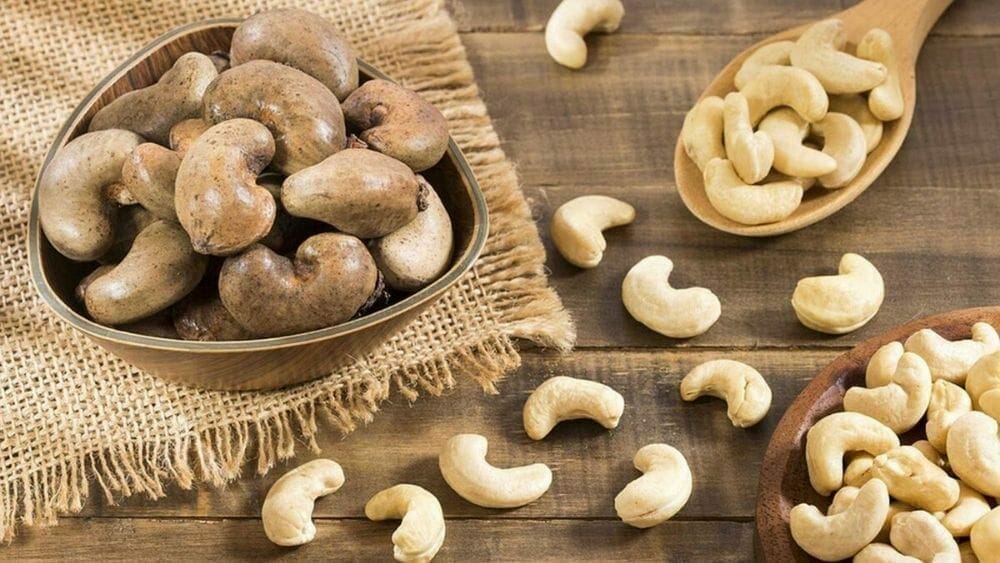 La noix de cajou, un fruit oléagineux bon pour la santé.