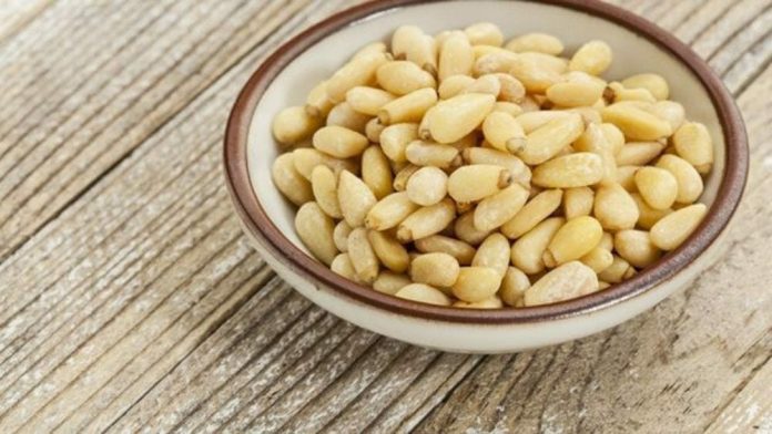 Pine nuts, a healthy oilseed fruit.