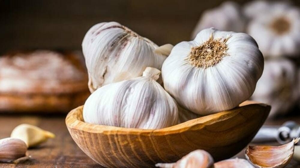 aliments anti cholesterol