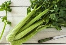 Les bienfaits du céleri-branche sur la digestion Le céleri-branche et ses bienfaits sur la digestion.