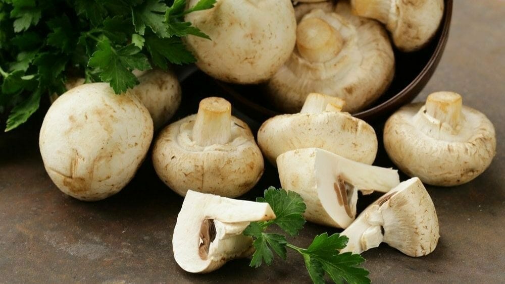 Le champignon de Paris