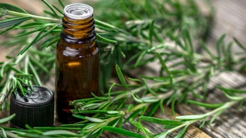 huile essenteille romarin aliments anti cholesterol