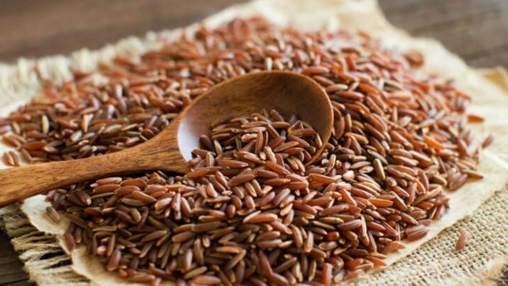 aliments anti cholesterol