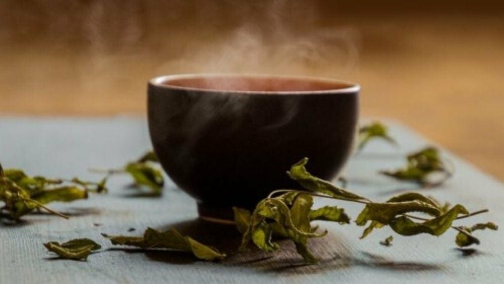 bienfaits du thé vert pour mincir