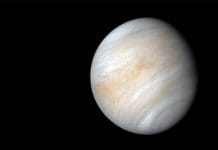 L’influence de la planète Vénus en astrologie Vénus en astrologie
