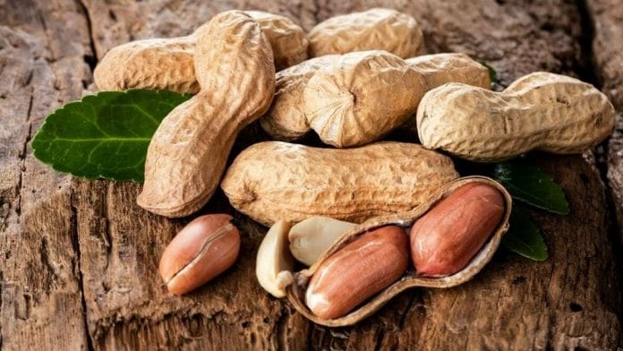 arachide : liste des légumes secs