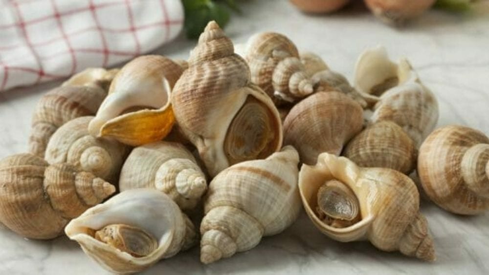 liste des fruits de mer