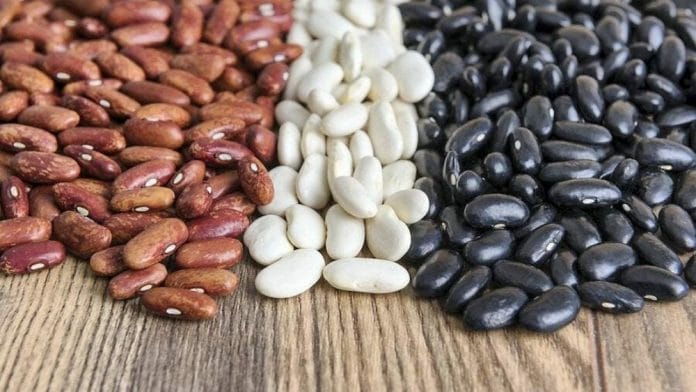 haricot : liste des légumes secs