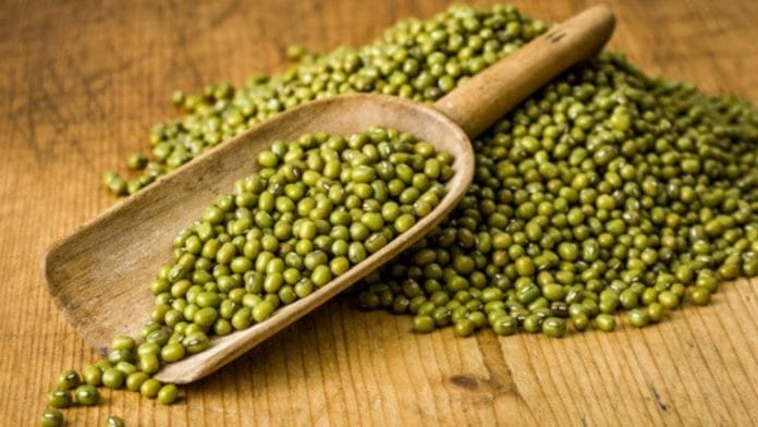 haricot mungo : liste des légumes secs