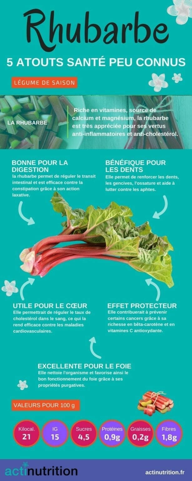 8 bienfaits de la rhubarbe