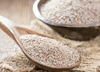 bienfaits du psyllium blond