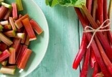 rhubarbe bienfaits