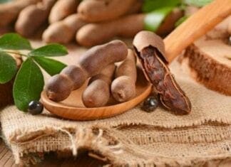 bienfaits du tamarin